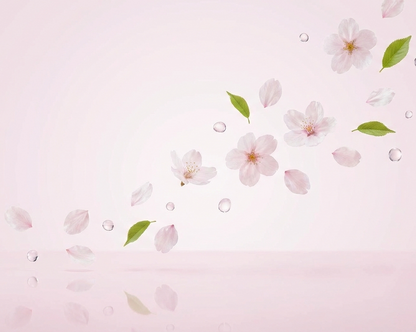 Soft Sakura – Cherry Blossom Soy Coconut Candle