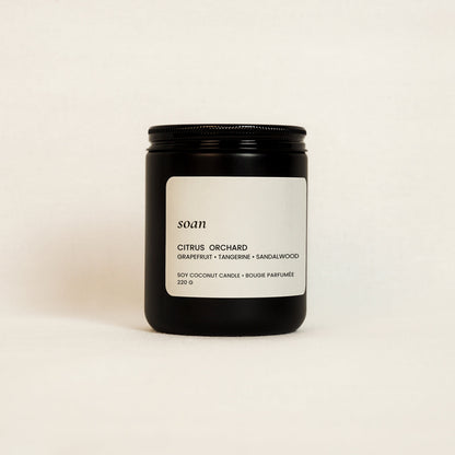 citrus fruits and sandalwood scented soy candle Citrus Orchard made in Canada